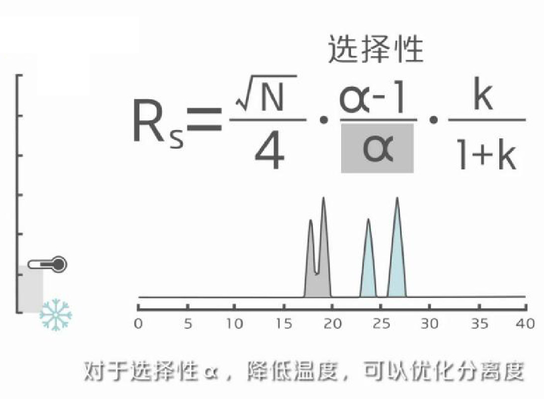 图片-03.jpg