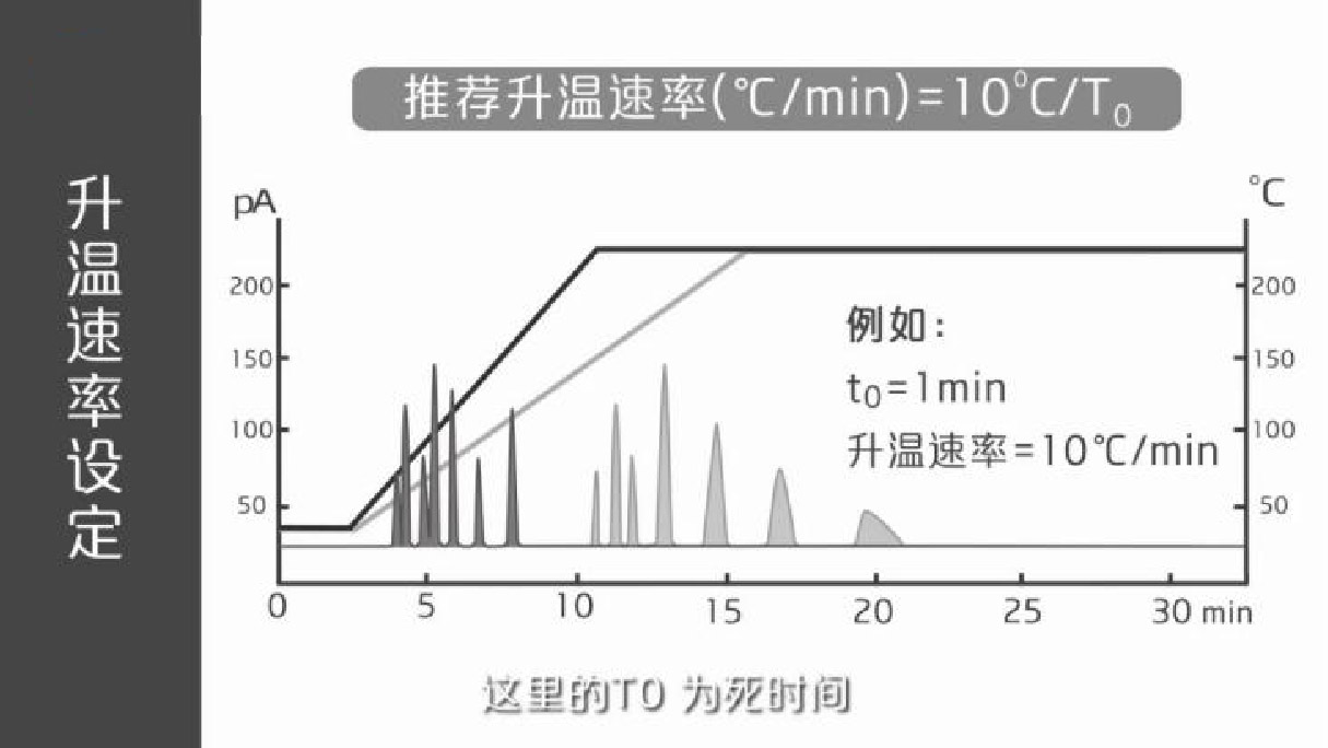 图片-13.jpg