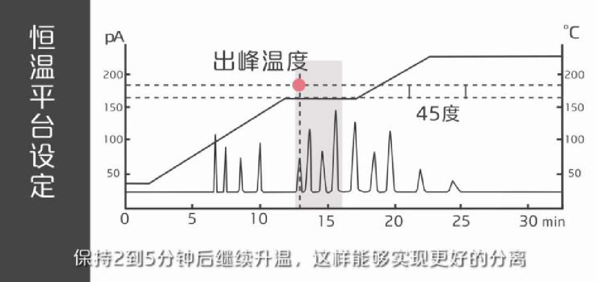 图片-14.jpg